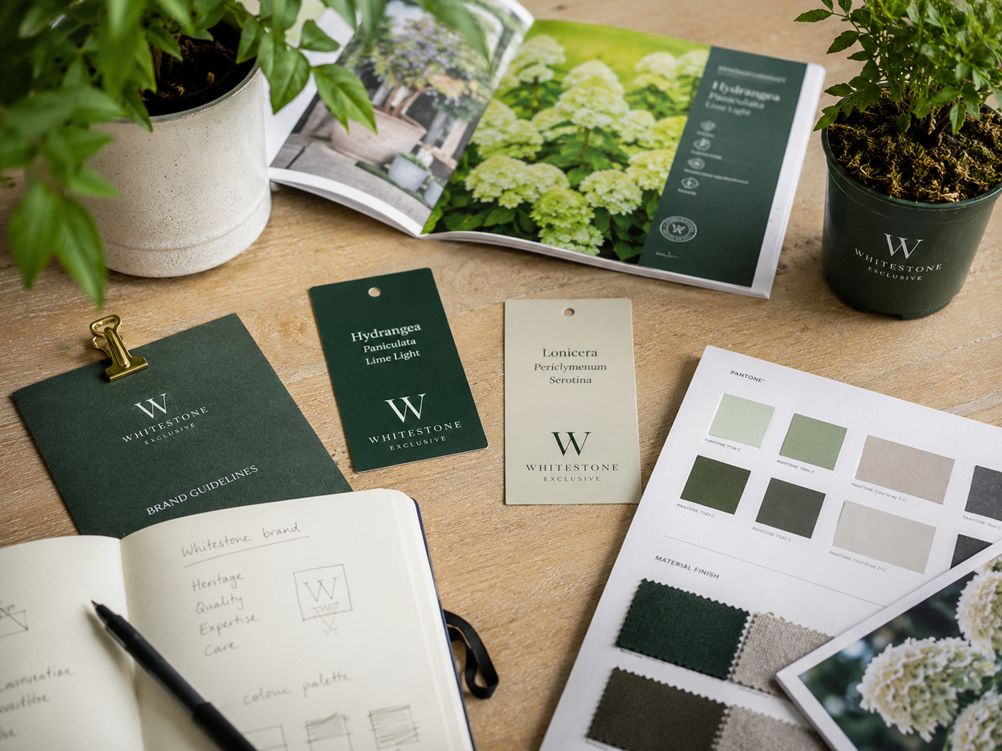 Brand guidelines, plant labels, colour swatches and a product catalogue laid out on a desk