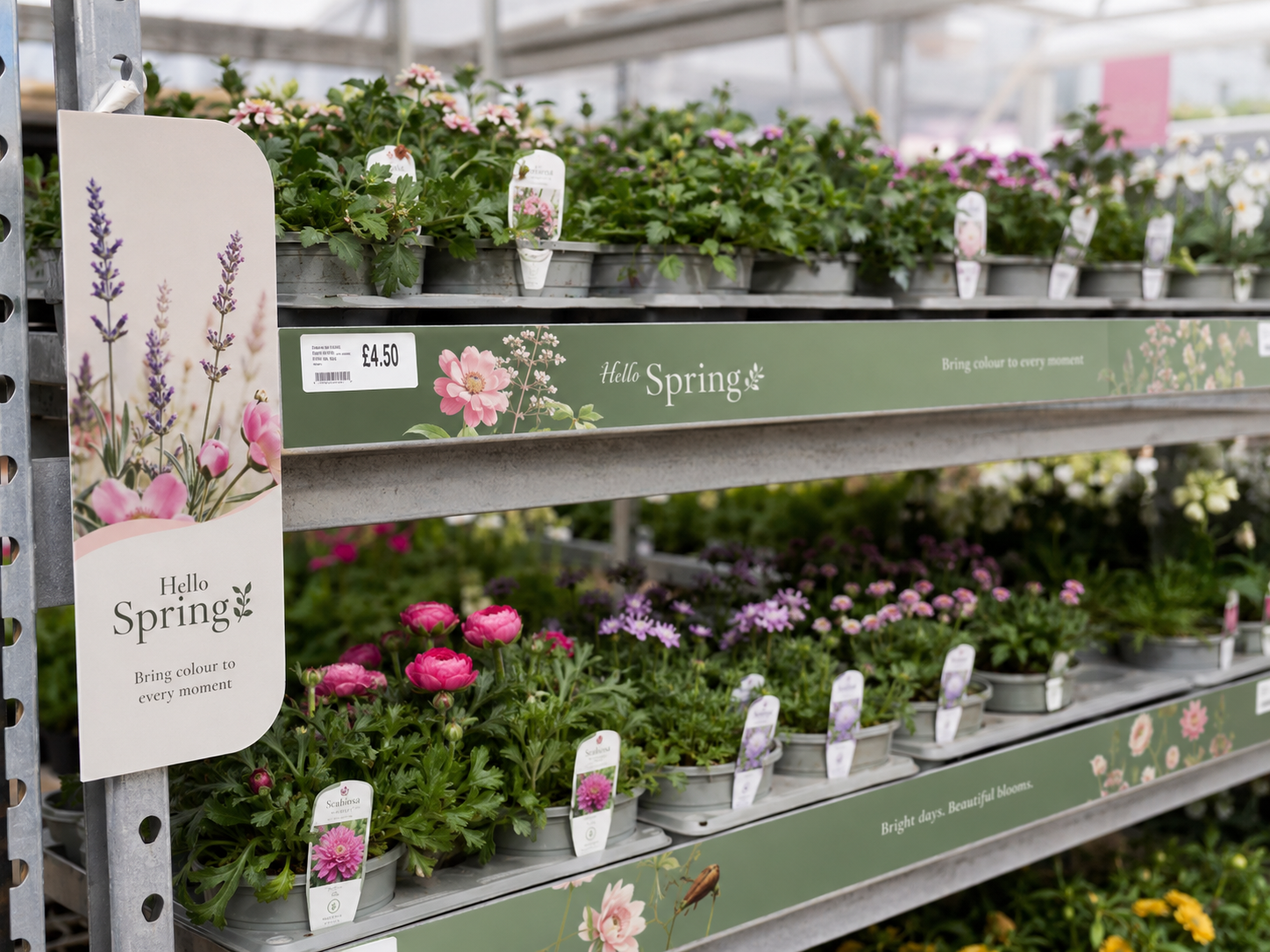 Hello Spring branded shelf strips and hanging tags on garden centre plant shelving