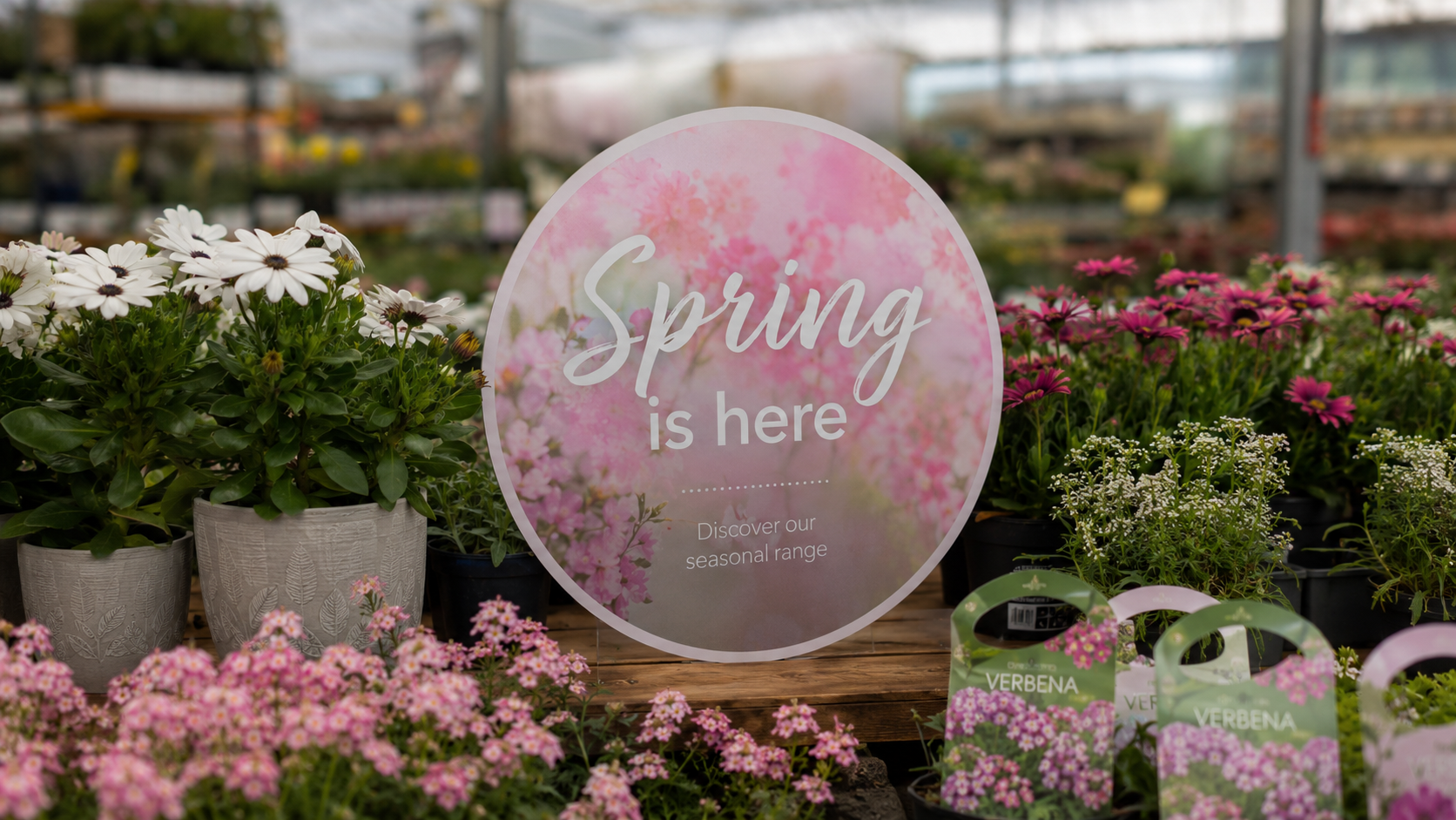 Round Spring is here POS disc displayed amongst flowering plants in a garden centre